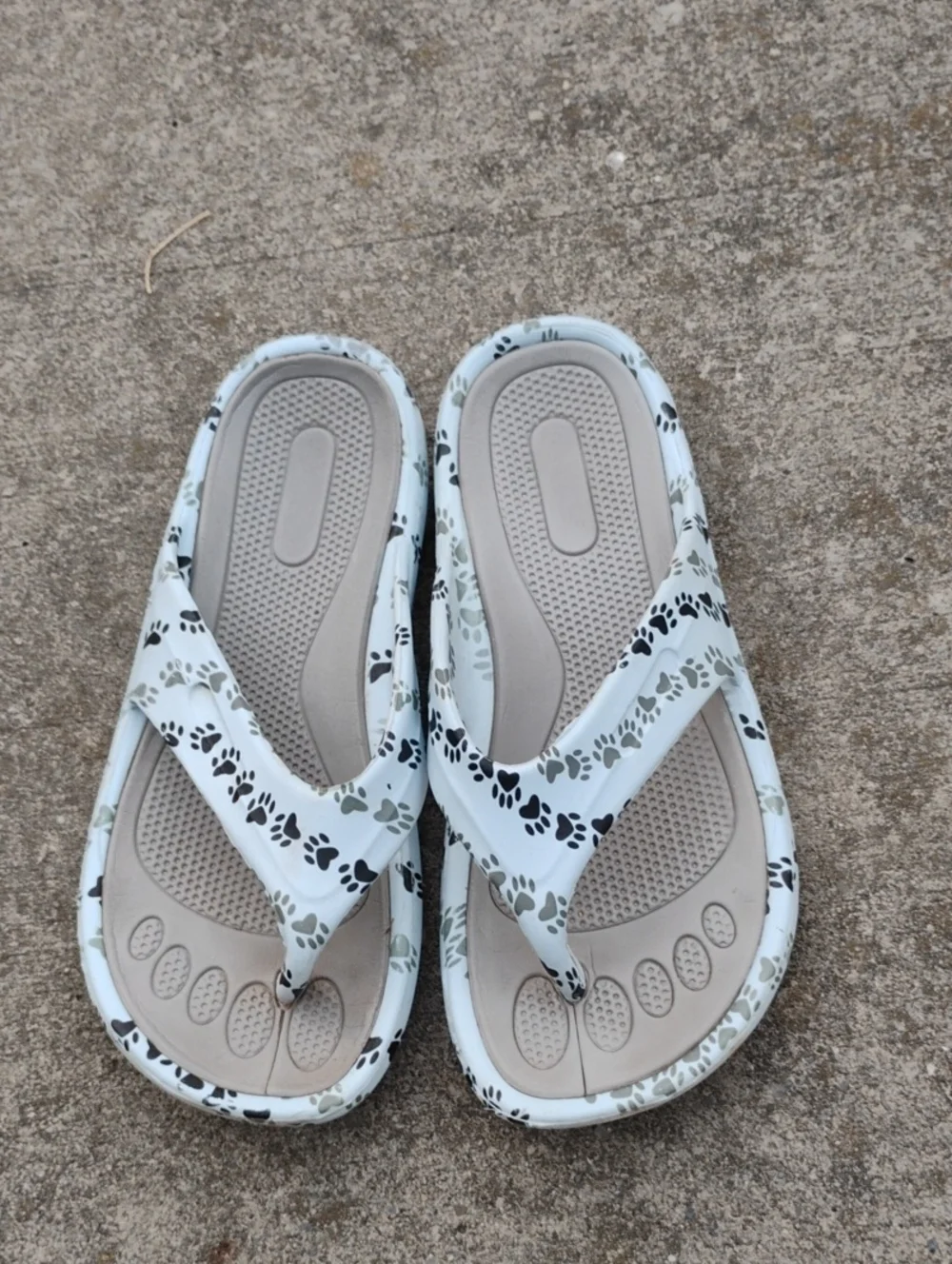 Women's Dog Print Flip Flop Beach/Poolside Sandals